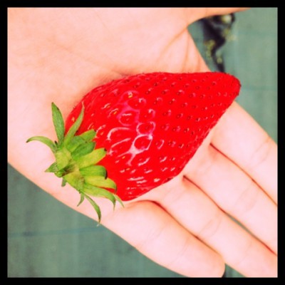 STRAWBERRY!