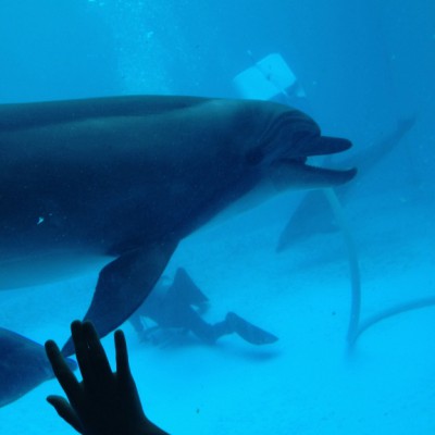 水族館☆ちひろ