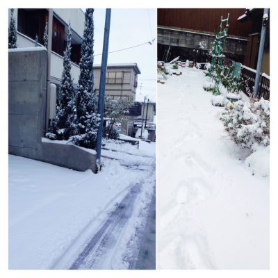 初雪〜☆.。