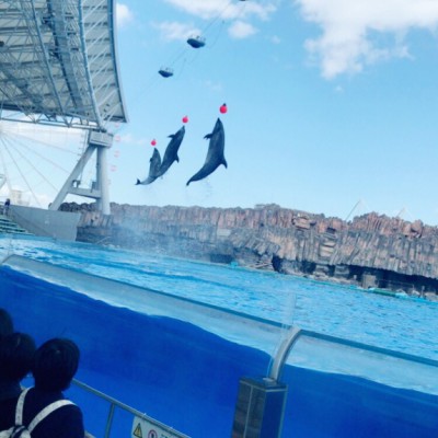 水族館！