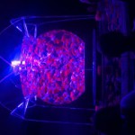 アートアクアリウム展❤serika